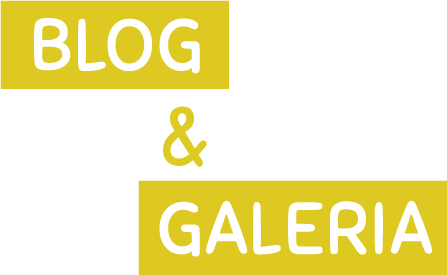 Blog e Galeria