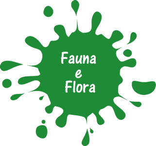 Fauna e Flora
